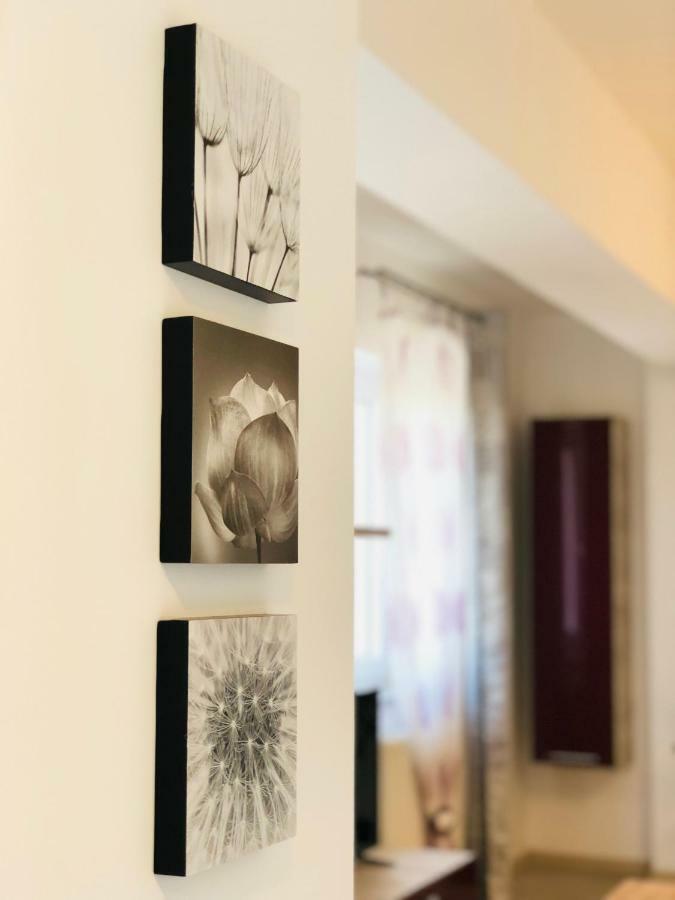 Eme Apartments Brasov Exterior photo